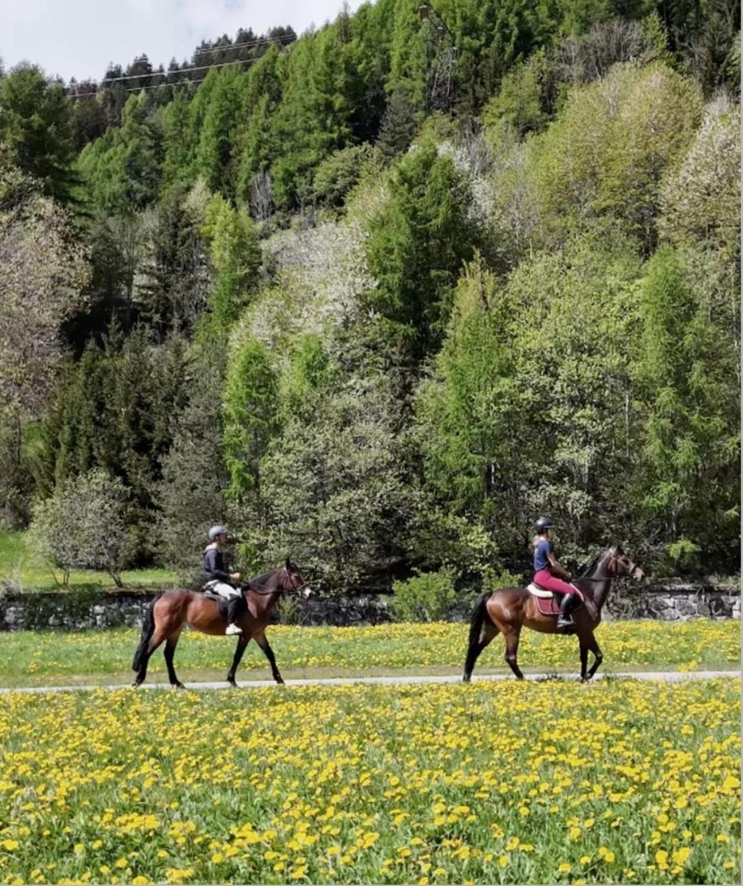 Sankt Moritz Suite 외부 사진